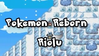 Pokemon Reborn How to get Riolu Ep 16 [upl. by Rhine]