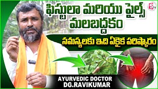 Fistula and Piles Natural Treatment  ఫిస్టులా మరియు పైల్స్ సమస్యలకు ఇది ఏకైక పరిష్కారం [upl. by Lister]