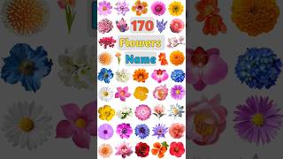 170 Flowers Name Part 02 flowers flowersname flower flowernames flowershorts allflowersname [upl. by Novla]