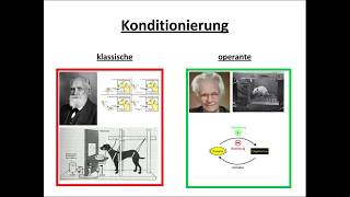 Klassische und operante Konditionierung erklärt [upl. by Adnarom]