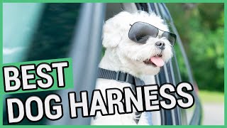 Best Dog Harness  5 Best No Pull Dog Harnesses 2021 🐶 ✅ [upl. by Adekram]