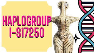 YDNA Haplogroup  IS17250  Slavic DNA  Cucuteni–Trypillia culture [upl. by Scharff110]