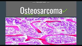 Real Microscopic Mitosis  MRC [upl. by Trow]