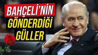 BAHÇELİNİN GÖNDERDİĞİ GÜLLER DİKENLİ MİYDİ [upl. by Melloney]