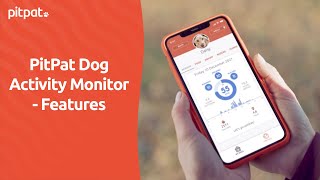 PitPat Dog Activity Monitor  Features [upl. by Heloise938]