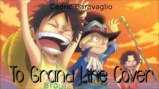 To the Grand Line  One Piece Cover [upl. by Botnick150]