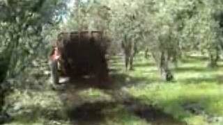 Manure Spreader [upl. by Nonarb]