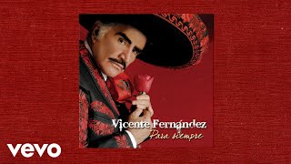 Vicente Fernandez  Millon De Primaveras Versión Karaoke [upl. by Gebler157]