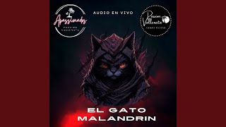 EL GATO MALANDRIN PASSION VALLENATA EN VIVO En vivo [upl. by Nillad]