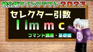 【統合版マイクラ】コマンド講座・基礎編 セレクター引数【llmmc】について【SwitchWin10PEPS4Xbox】 [upl. by Nnahaid]