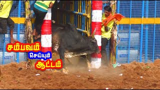 சம்பவம் செய்யும் தரமான காளைகள் Mangalapuram jallikattu best video [upl. by Admama]