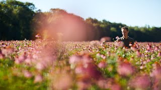 Beleef de AVogel tuinen met onze tuinmannen Joost en Frans [upl. by Collins]