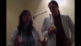 Lab Coat Cooking Episode 4 Haggis Neeps and Tatties [upl. by Zehc667]