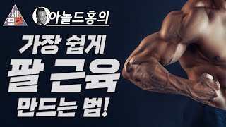 두 가지 동작이면 됩니다 팔 근력 키우는 법  세모핏 70ㅣ 팔운동 팔근육 이두근 운동 삼두근 운동 근육 부자 되는법 [upl. by Slaughter]