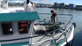 Coquilles SaintJacques  une bouffée doxygène pour les pêcheurs picards [upl. by Farmer896]