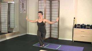 Curtsy Lunge Active Exercise Demonstrated by Physical Therapist [upl. by Pearse]