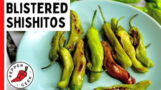 Blistered Shishito Peppers  Delicious amp Easy Side Dish Recipe  Pepper Geek [upl. by Gairc]