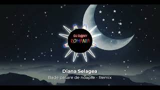 Diana Selagea Bade pasare de noapte Remix [upl. by Lenahc329]