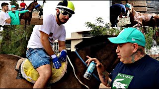 CONOCIENDO LOS CABALLOS DE CHOCOLATE BLANCO ENTREVISTA EN EL HIPÓDROMO🐴🏇💯🔥 [upl. by Matthia]