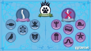 VERTEBRATE AND INVERTEBRATE ANIMALS [upl. by Divadnahtanoj694]