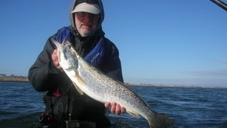 Weakfish  Fishing bucktails [upl. by Lewes]