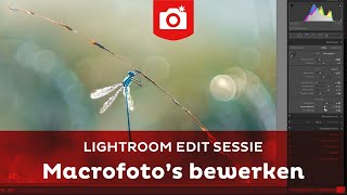 Zo bewerk je je MOOISTE MACROFOTO  Adobe Lightroom Edit Sessie  Zoomnl Fotografie Tips [upl. by Rendrag249]