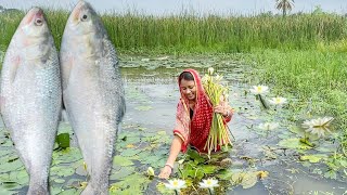 মাঠ থেকে শাপলা তুলে ইলিশ মাছের মাথা দিয়ে রান্না করলাম সাথে বেগুন ইলিশ তেলঝাল  hilsha fish recipe [upl. by Pasquale]