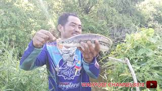 mancing casting ikan gabus dan toman bersama angler siantar spot istimevvah [upl. by Iknarf978]