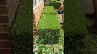 Lawn Care Service Call 1 8773144940 [upl. by Darb422]