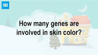 How many genes are involved in skin color [upl. by Floss128]