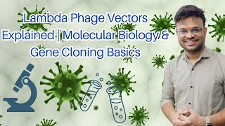 Lambda Phage Vectors Explained  Molecular Biology amp Gene Cloning Basics [upl. by Novy]