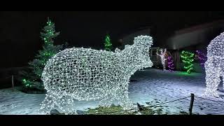 Calgary ZooLights A truly unforgettable experience [upl. by Dlaregztif922]