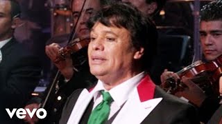 Juan Gabriel  Abrázame Muy Fuerte En Vivo Desde Bellas Artes México 2013 [upl. by Norod90]