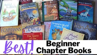 Beginner Chapter Book Recommendations  BEST Book Series for Young Independent Readers [upl. by Leilani]