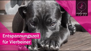 🐕Entspannungsmusik für Hund🐾 [upl. by Aratas730]