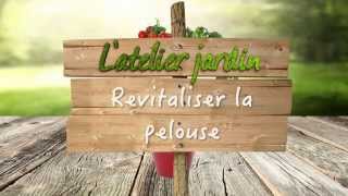 Revitaliser la pelouse [upl. by Sokin140]