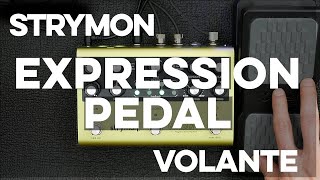 How to use an expression pedal with the Strymon Volante [upl. by Newhall]