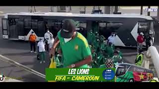 ARRIVEE DES LIONS A GAROUA [upl. by Alliuqat]