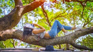 Electronic Music for Studying Concentration  Chill Electronic Study Music Playlist Mix 2017 [upl. by Efioa]