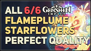 All 6 Flameplume Starflowers Perfect Quality Genshin Impact [upl. by Orgalim]