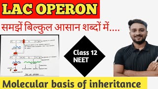 Lac Operon in Hindi  Molecular Basis of Inheritance By Lalit sir [upl. by Zadoc]