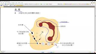 DSE 生物科CH24 身體的防禦 [upl. by Gredel]