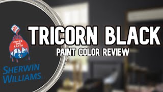 MY FAVORITE BLACK PAINT COLOR  Sherwin Williams Tricorn Black [upl. by Olwena]