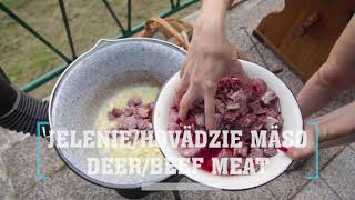 DEERBEEF GOULASH  JELENÍHOVÄDZÍ GULÁŠ video recipe recept [upl. by Ciapas6]