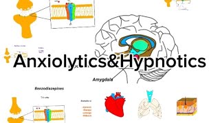 Pharmacology 21 Anxiolytics amp Hypnotics dawooyinka walwalkacabsidaargagaxahurdo laaanta [upl. by Bush]