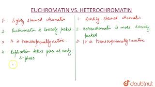 DIFFERENCE BETWEEN EUCHROMATIN amp HETEROCHROMATIN [upl. by Salb]