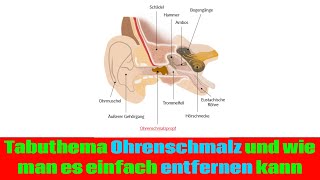 Tabuthema Ohrenschmalz und wie man es einfach entfernen kann [upl. by Siramed229]