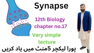 synapse 12 Class biology  synapse in Urdu Hindi 2ndyearbiology [upl. by Helfant400]