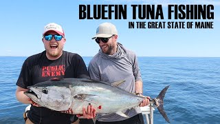 Bluefin Tuna fishing in Maine catching our first bluefin tuna along with some porbeagle sharks [upl. by Ahter]