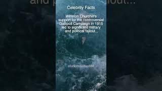 Winston Churchill Gallipoli Campaign Failure 1915 Celebrity Facts [upl. by Hgeilyak551]